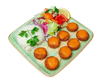 Falafel Main Course 